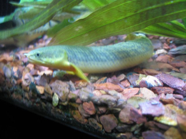IMG_0883.JPG