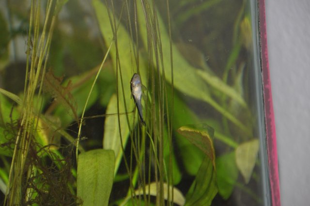 DSC_4365.JPG
