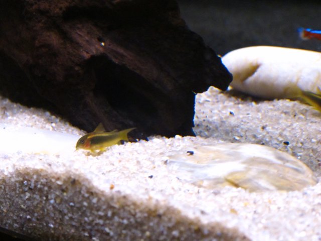 IMG_3377.JPG