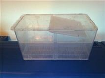 breeding trap.jpg breeding trap.jpg