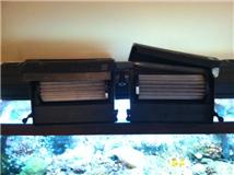 dual bio wheel.jpg dual bio wheel.jpg