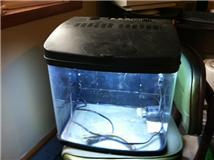 12 biocube.jpg 12 biocube.jpg