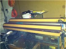 48 lights.jpg 48 lights.jpg