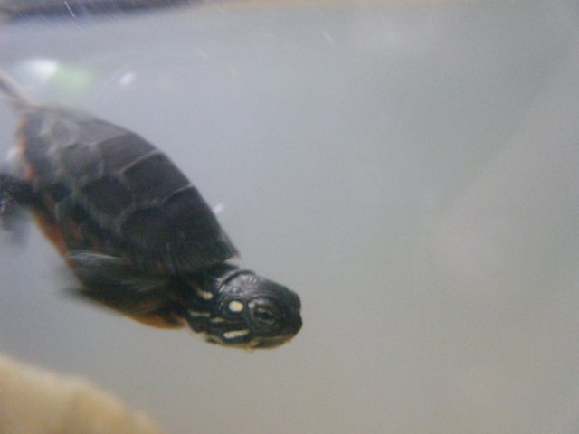 DSCF3274.JPG