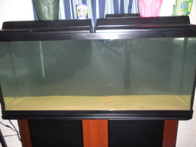DSCN0221.JPG