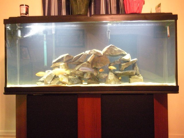 DSCN0232.JPG