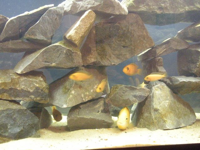 DSCN0228.JPG