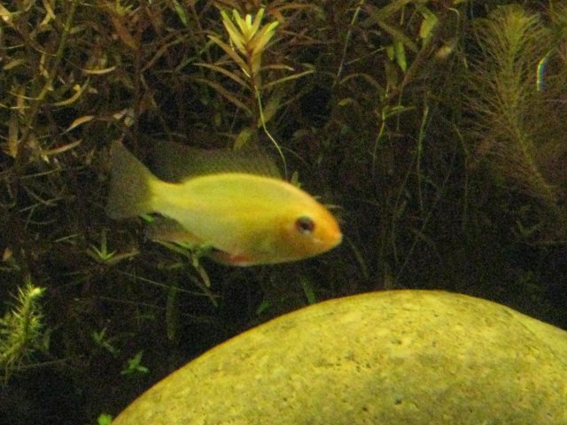 IMG_0160.JPG