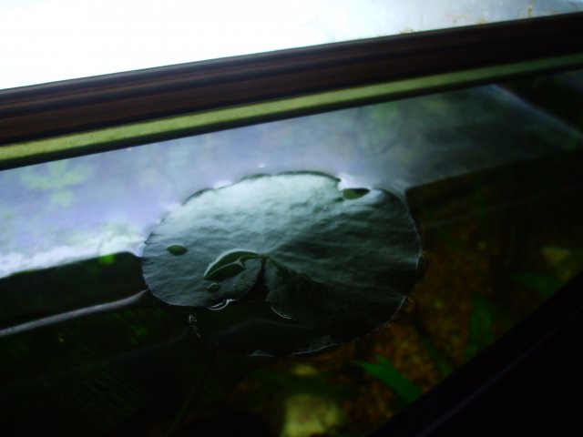 DSCF0762.JPG