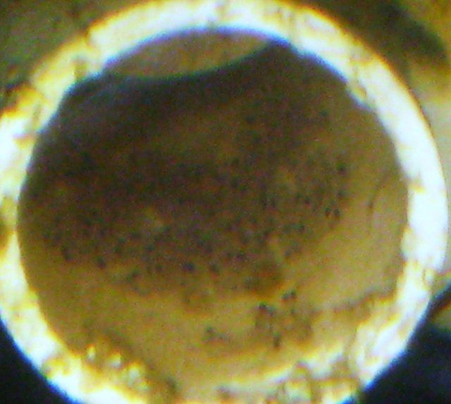 049.JPG