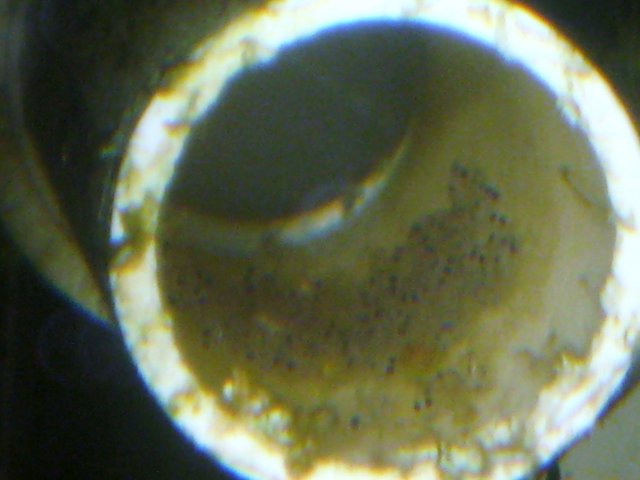080.JPG