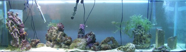 My Tank.jpg