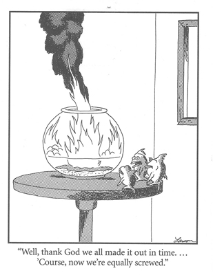 Fish-Farside-Sm.jpg