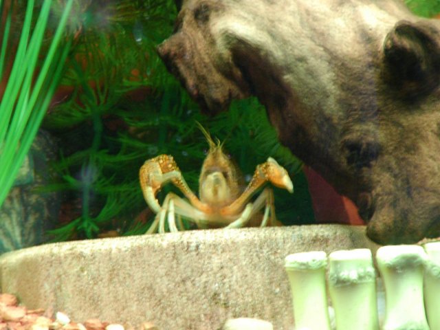 2007_0422_114829AA.JPG