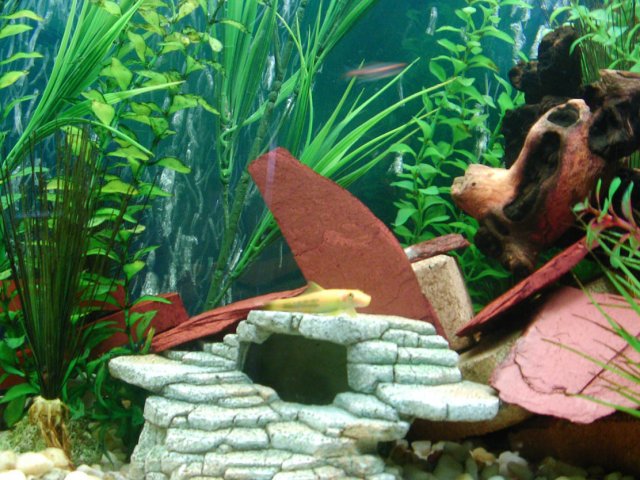 2007_0422_115052AA.JPG
