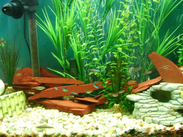 2007_0422_115132AA.JPG