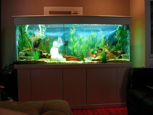 2007_0422_115214AA.JPG