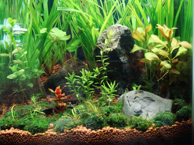 DSC01042.JPG DSC01042.JPG