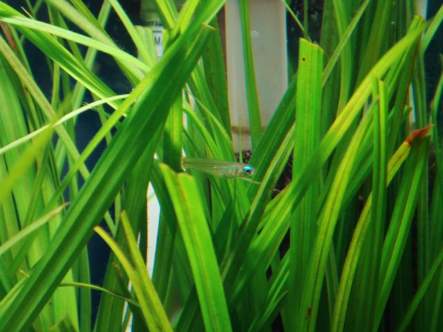 DSC01043.JPG DSC01043.JPG