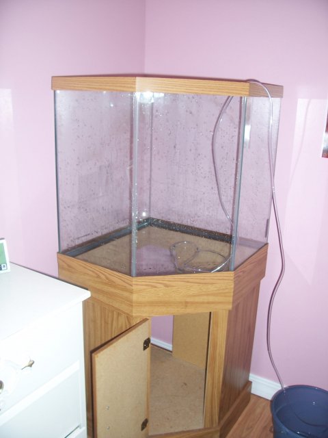 fishtank 008.jpg