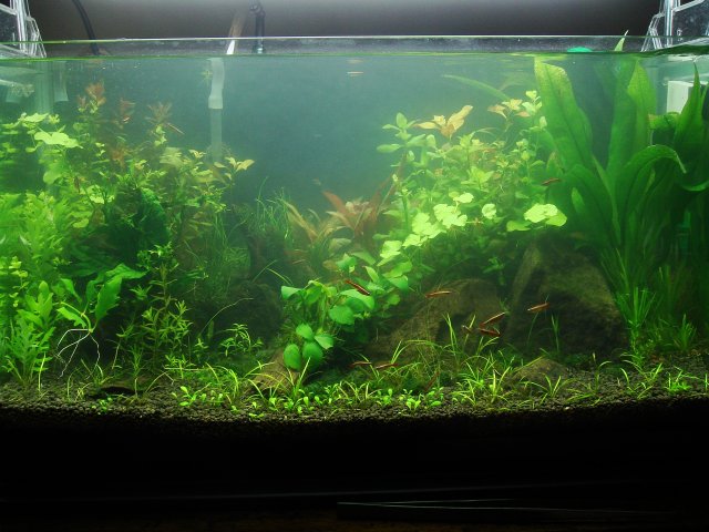 DSC01048.JPG DSC01048.JPG