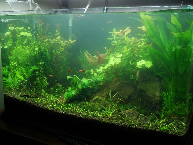 DSC01049.JPG DSC01049.JPG