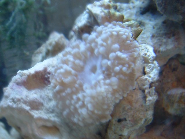 DSCF0097.JPG