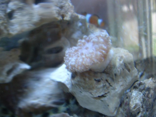 DSCF0070.JPG