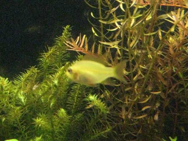 IMG_0159.JPG