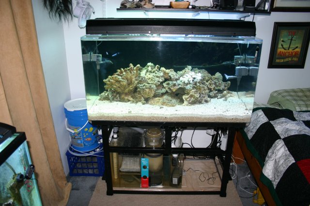 IMG_7905.JPG