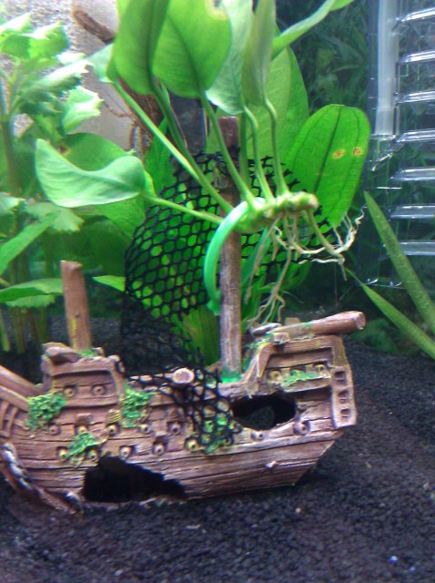 IMG_20110507_142614.jpg