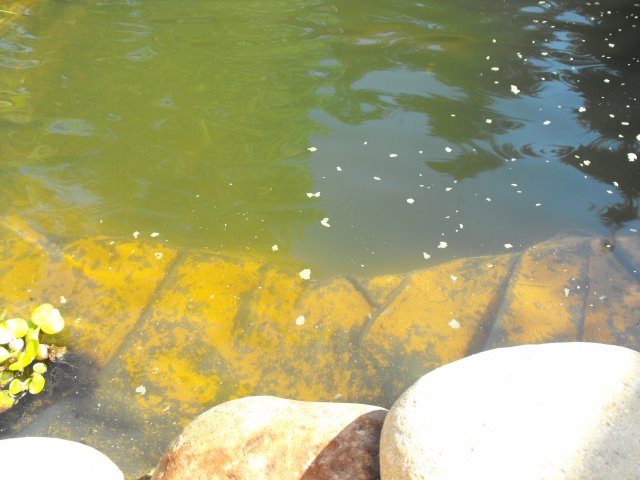 DSCF0230.JPG
