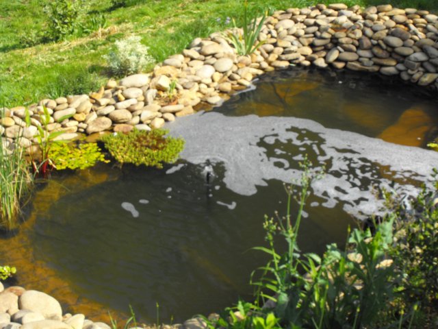 DSCF0222.JPG