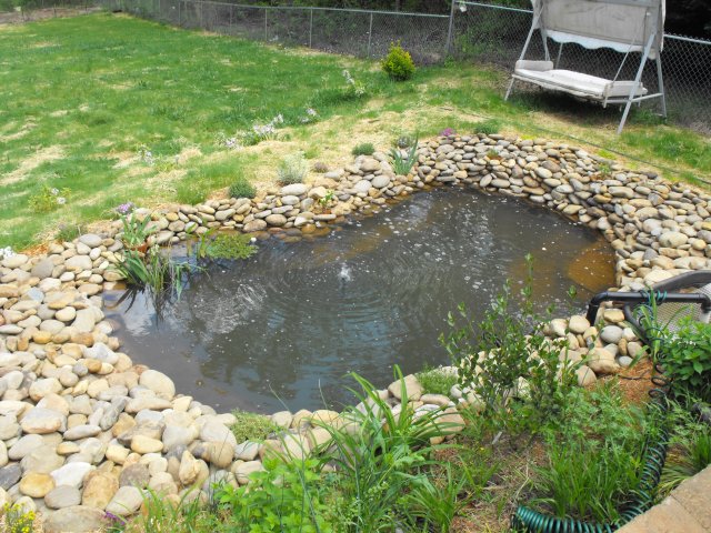 DSCF0173.JPG