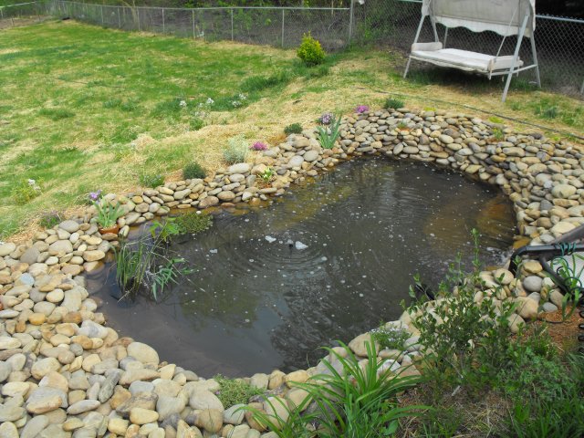 DSCF0172.JPG