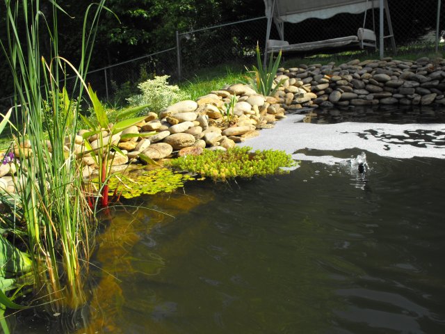 DSCF0233.JPG