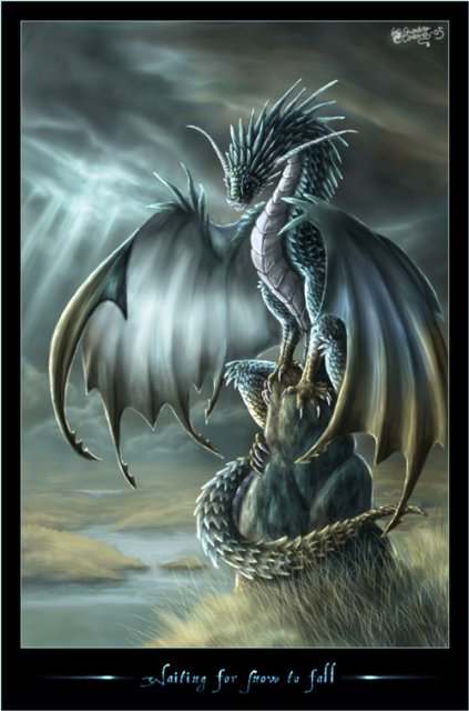 dragon_38.jpg
