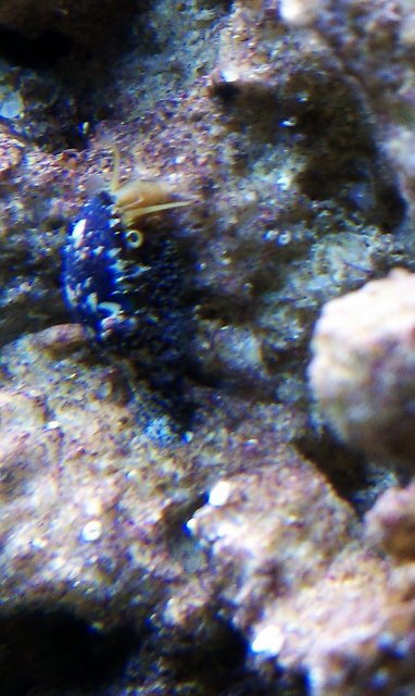 IMAG0077.jpg