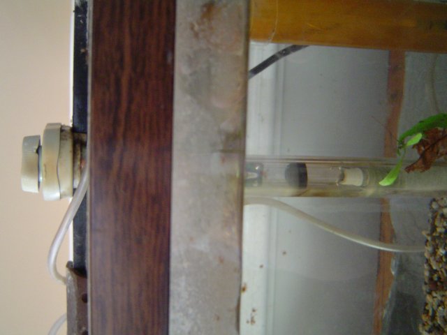 DSC00122.JPG
