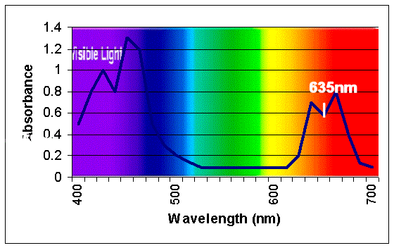 Chlorophyll_fluorescence.gif