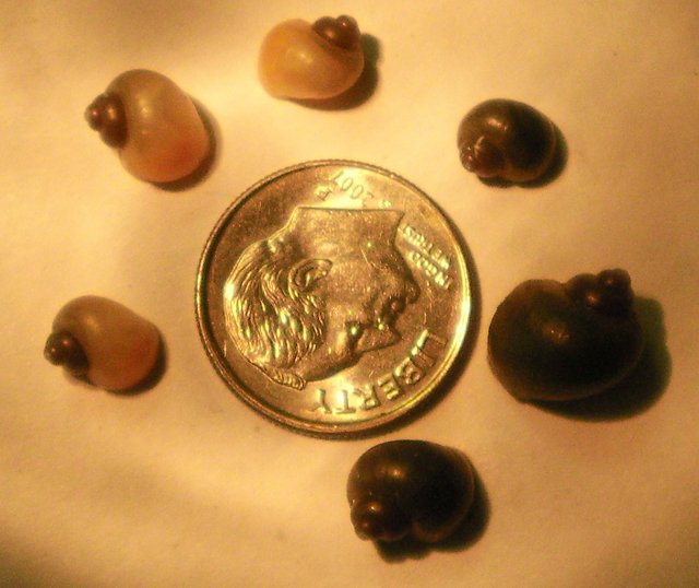 rsz_1sany0007.jpg rsz_1sany0007.jpg