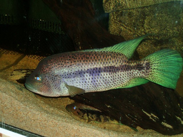 P1011467.JPG