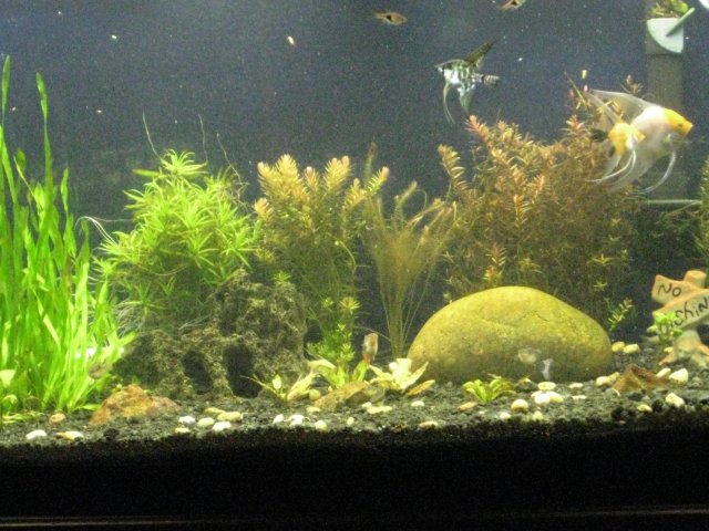 IMG_0014.JPG