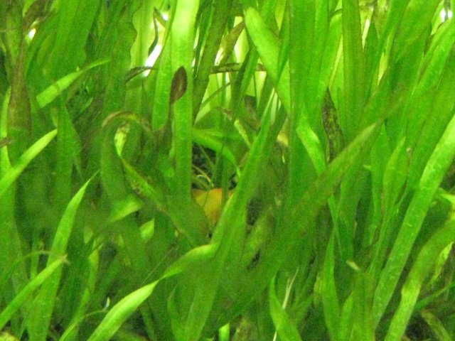 IMG_0027.JPG