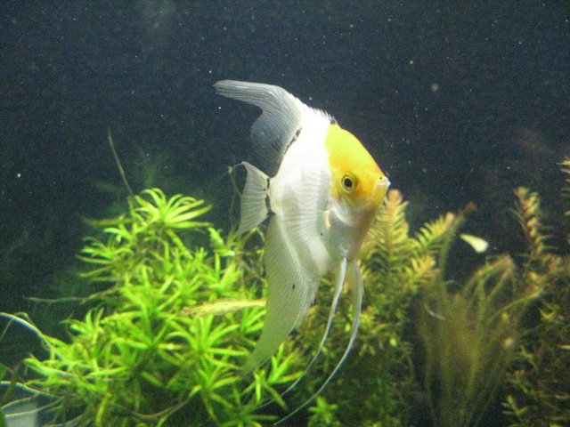 IMG_0024.JPG