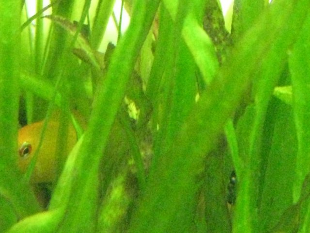 IMG_0018.JPG
