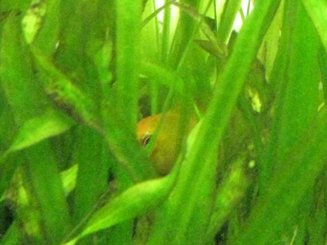 IMG_0017.JPG