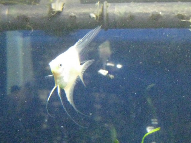 IMG_0023.JPG