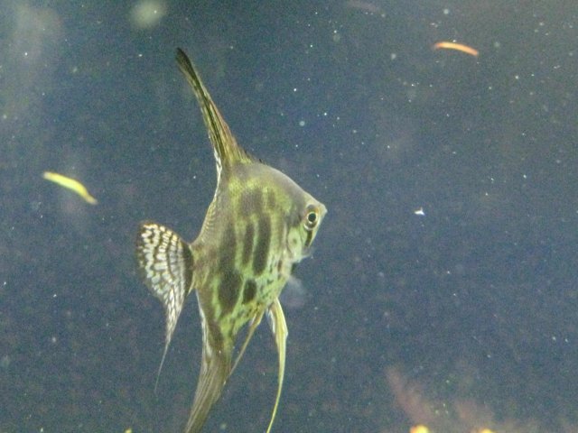 IMG_0020.JPG