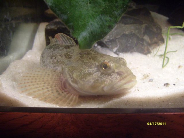 S7300730.jpg